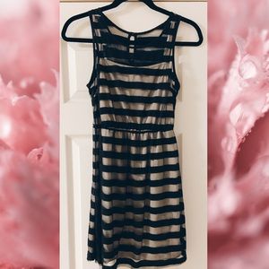 Jealous Tomato Black sheer Striped dress